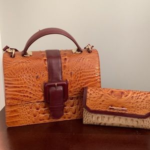 Tricolor Handbag/wallet Combo Croc